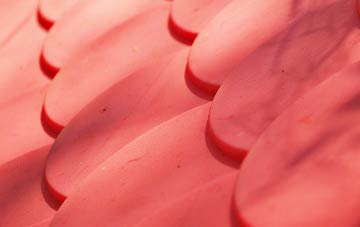 Narkurs plastic roof costs