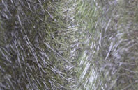 Narkurs fibreglass roof work